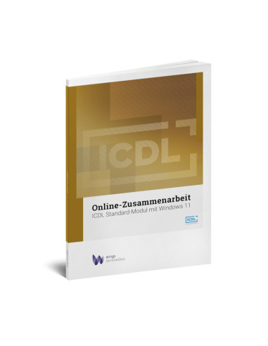 ICDL Online-Zusammenarbeit 2023